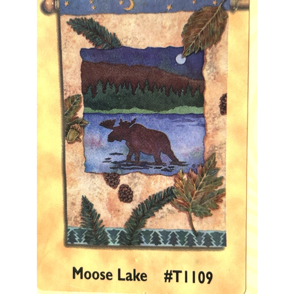 Toland Fine Art Flag T1109 Lake Moose 24" x 36" USA Military Standards NEW
